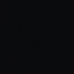 Meet your Posher, Karolyn